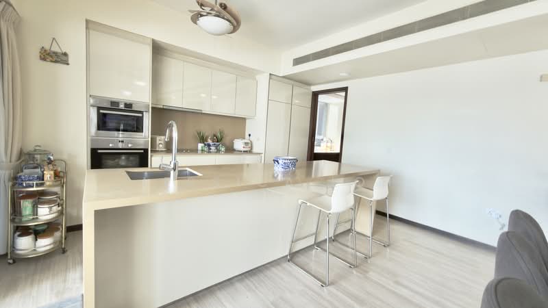 Sophia Residence Condominium For Sale at S$ 5,200,000 | PropertyGuru Singapore - Dry Kitchen