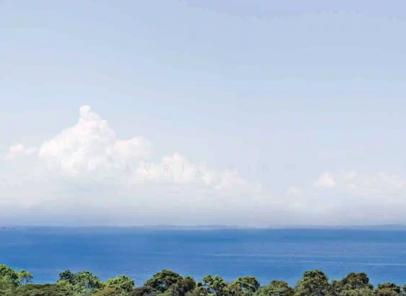 For Rent - The Meyerise