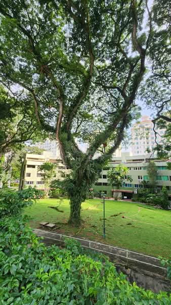 Pine Grove, 1A Pine Grove, 3 Bedrooms, 1,755 sqft, Condominium For Rent, by Catherine Goh 吴宝钰, 500062641 - PropertyGuru.com.sg