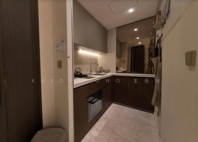 Newport Residences, 80 Anson Road, 1 Bedroom, 474 sqft, Condominium For Sale, by Kaeden Ong 王天财, 500062821 - Kitchen - PropertyGuru.com.sg