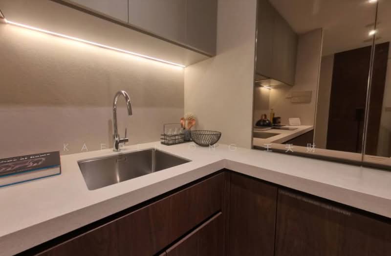 Newport Residences, 80 Anson Road, 1 Bedroom, 474 sqft, Condominium For Sale, by Kaeden Ong 王天财, 500062821 - Kitchen - PropertyGuru.com.sg