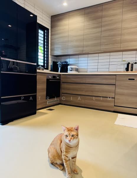 University Park, University Walk, 4 Bedrooms, 2,600 sqft, Semi-Detached House For Sale, by Patricia Lim, 500062858 - Kitchen - PropertyGuru.com.sg