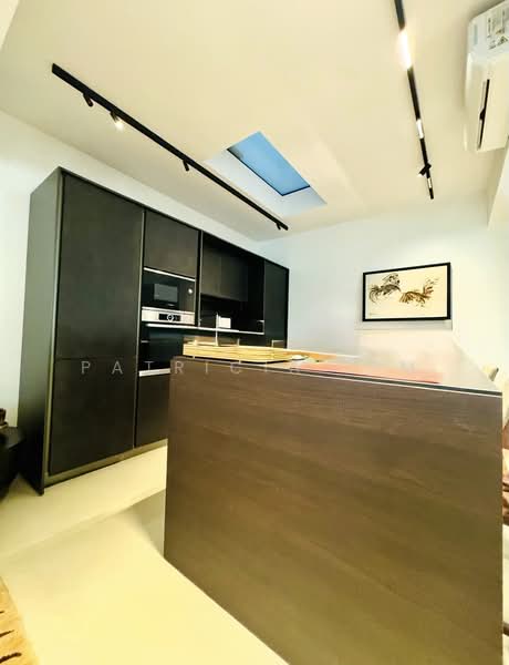 University Park, University Walk, 4 Bedrooms, 2,600 sqft, Semi-Detached House For Sale, by Patricia Lim, 500062858 - Kitchen - PropertyGuru.com.sg