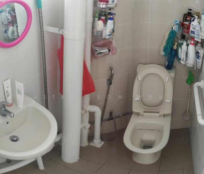 258 Jurong East Street 24, 258 Jurong East Street 24, Room Rental, 100 sqft, HDB Flat For Rent, by Astro Leow 黎文达, 500063008 - Bathroom - PropertyGuru.com.sg