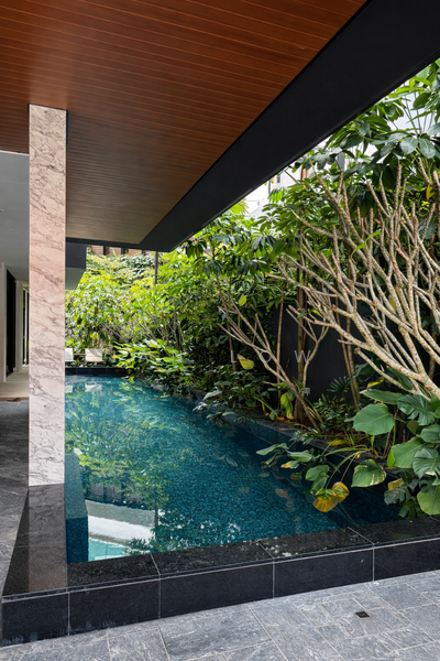 ⭐️Walk To Orchard! New Designer Semi-D, Move In Immediately! ⭐️ Redprop 🔴 Semi-Detached House For Sale at S$ 14,380,000 | PropertyGuru Singapore - Pool