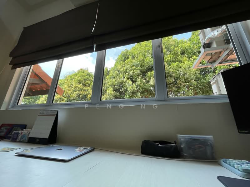 Fidelio Street Terraced House For Sale at S$ 4,500,000 | PropertyGuru Singapore - Window View 