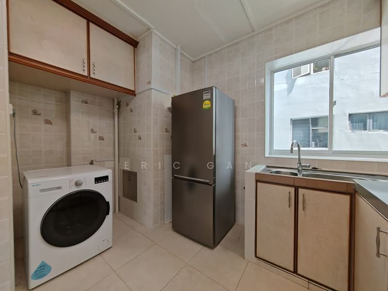Chancery Court, 36H Dunearn Road, 2 Bedrooms, 926 sqft, Condominium For Rent, by Eric Gan, 500063321 - Kitchen - PropertyGuru.com.sg