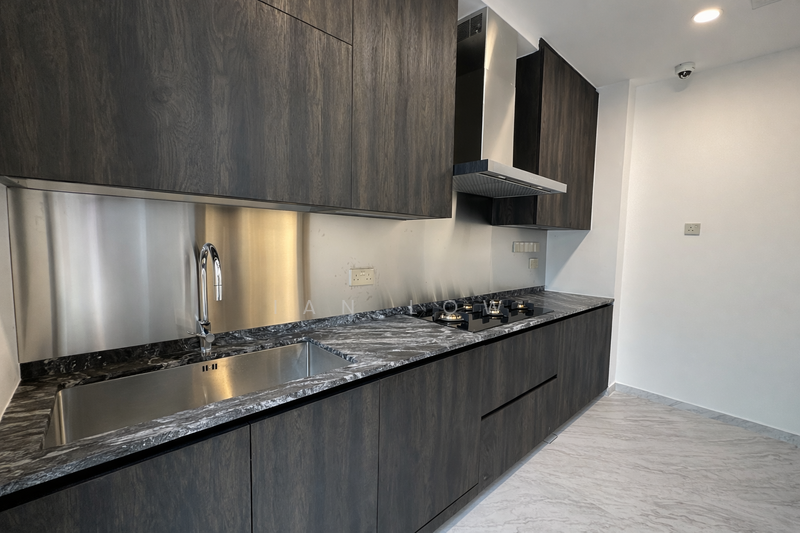 ⭐️ Cheap D11 Designer Home, Priced to Sell! ⭐️ Redprop🔴 Corner Terrace For Sale at S$ 7,880,000 | PropertyGuru Singapore - Kitchen