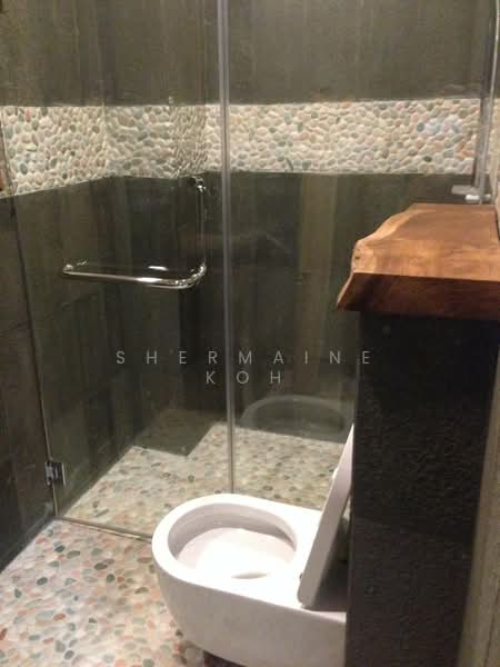 Racecourse Road, , 1 Bedroom, 600 sqft, Apartment For Rent, by Shermaine Koh, 500063571 - Bathroom - PropertyGuru.com.sg