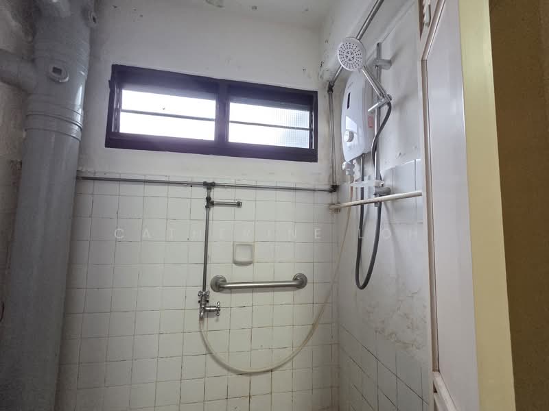 11 Holland Drive, 11 Holland Drive, 2 Bedrooms, 700 sqft, HDB Flat For Rent, by Catherine Loh, 500063590 - Bathroom shower - PropertyGuru.com.sg