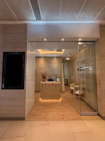 313 @ Somerset, 313 Orchard Road, 365 sqft, Mall Shop For Rent, by Alvin Ng, 500063635 - Entrance - CommercialGuru.com.sg