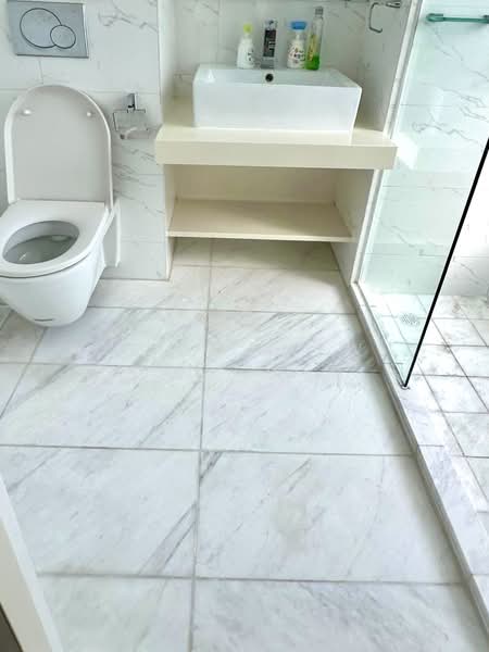 The Cascadia Condominium For Sale at S$ 3,990,000 | PropertyGuru Singapore - Bathroom