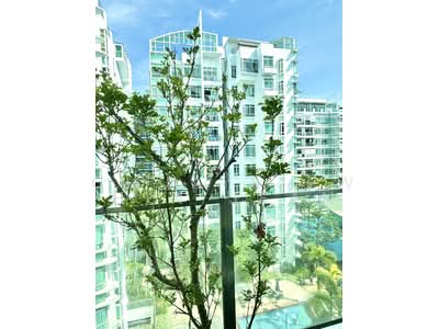 For Sale - The Cascadia