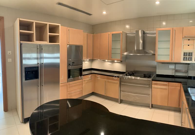 Ardmore Park Condominium For Sale at S$ 15,000,000 | PropertyGuru Singapore - Kitchen