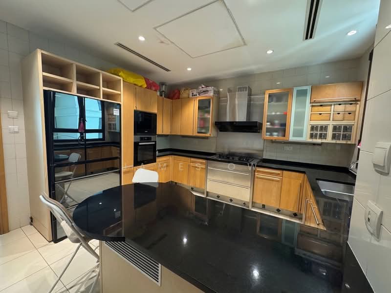 Ardmore Park, 15 Ardmore Park, 4 Bedrooms, 2,885 sqft, Condominium For Sale, by James Ow, 500063866 - Kitchen - PropertyGuru.com.sg