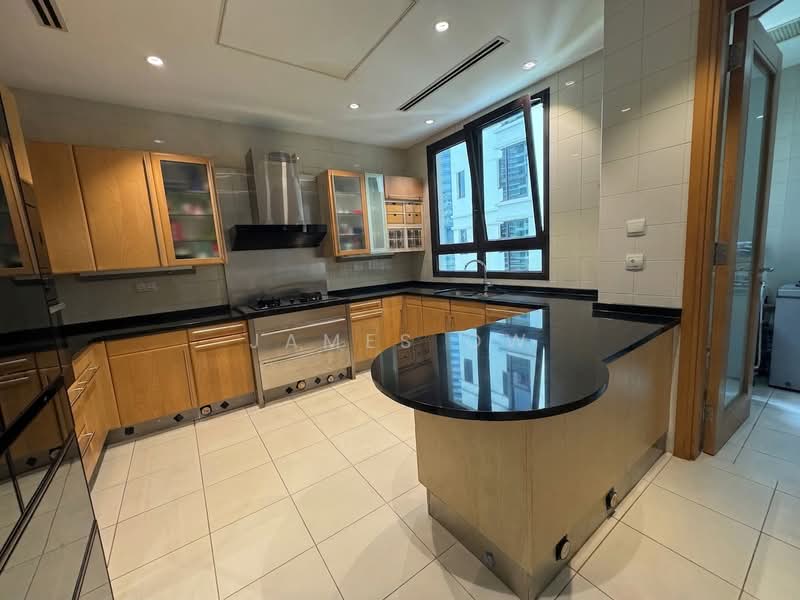Ardmore Park, 15 Ardmore Park, 4 Bedrooms, 2,885 sqft, Condominium For Sale, by James Ow, 500063866 - Kitchen - PropertyGuru.com.sg