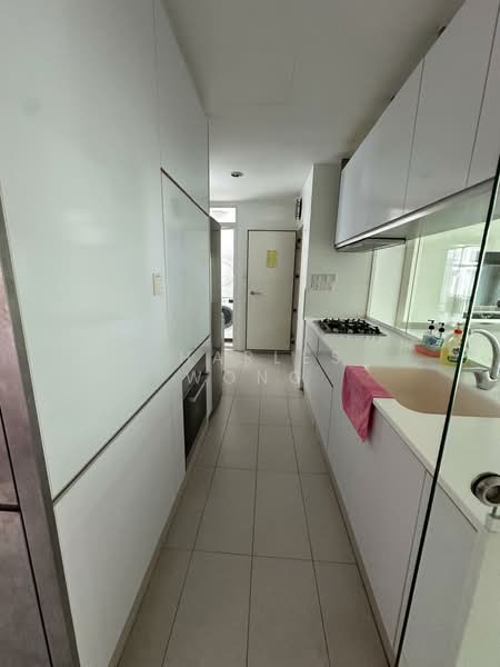 The Cascadia Condominium For Sale at S$ 3,990,000 | PropertyGuru Singapore - Kitchen