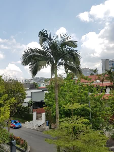 Fernhill Cottage Cluster House For Sale at S$ 4,800,000 | PropertyGuru Singapore - Exterior