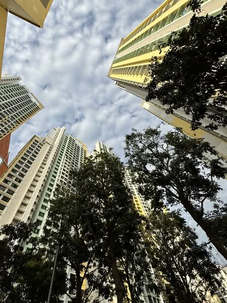 For Rent - 55 Havelock Road