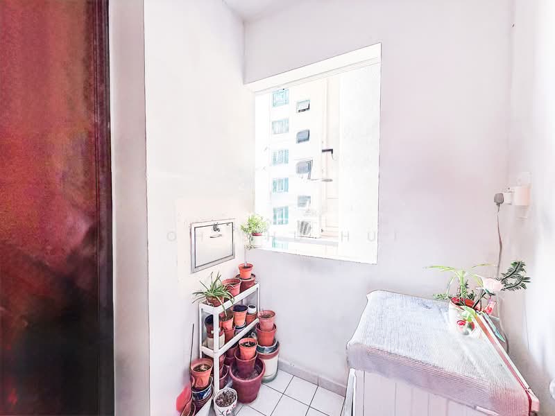 Hazel Park Condo Condominium For Sale at S$ 2,700,000 | PropertyGuru Singapore - Yard and Utility