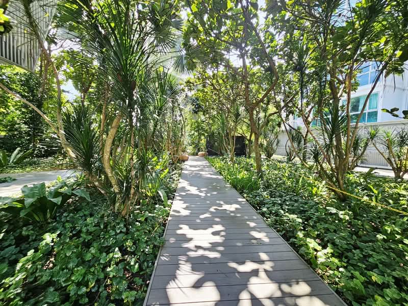 Ripple Bay, 4 Pasir Ris Link, 2 Bedrooms, 797 sqft, Condominium For Rent, by Michelle Leong, 500064509 - Exterior - PropertyGuru.com.sg