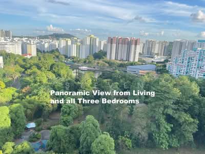 For Sale - 530 Jelapang Road