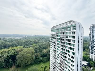 For Sale - Tree House