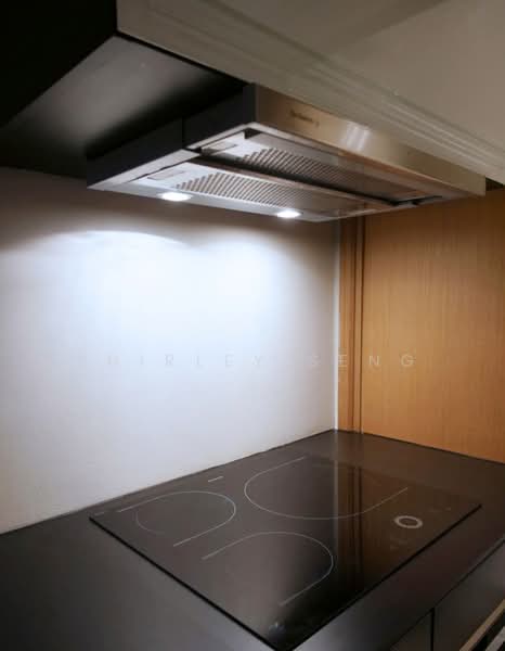 Iridium, 11 Lincoln Road, 2 Bedrooms, 764 sqft, Apartment For Rent, by Shirley Seng, 500064965 - Kitchen - PropertyGuru.com.sg