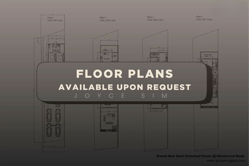 For Sale Brand New Semi-D in Braddell Heights