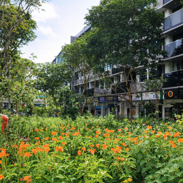 For Rent - Viva Vista