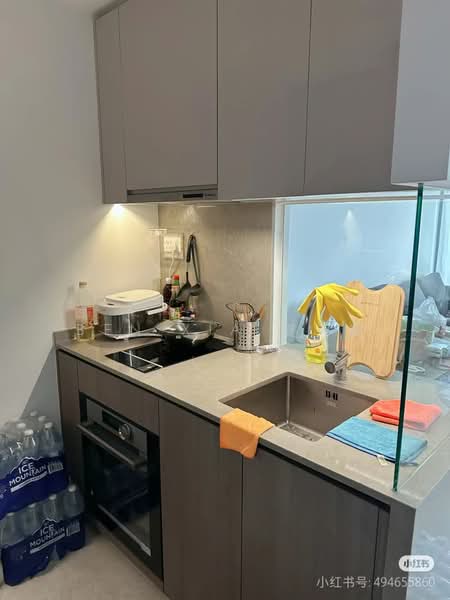 Avenue South Residence, 13 Silat Avenue, Room Rental, 100 sqft, Condominium For Rent, by Ben XIA 夏天鹏, 500065489 - Kitchen - PropertyGuru.com.sg