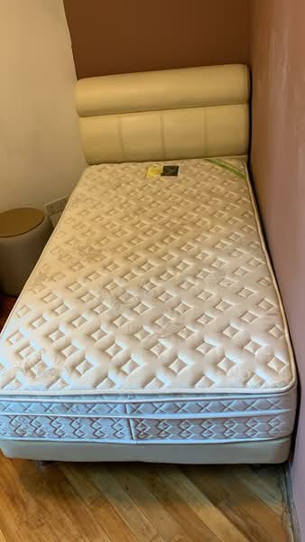 Harvest Mansions, 550 Havelock Road, Room Rental, 90 sqft, Apartment For Rent, by Elizabeth Mok, 500065735 - Medium room - PropertyGuru.com.sg