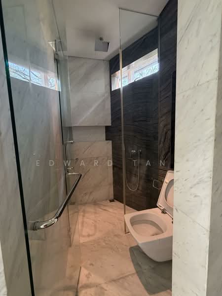Botanika, 50 Holland Road, 4 Bedrooms, 2,099 sqft, Apartment For Rent, by Edward Tang, 500065973 - Master bathroom shower - PropertyGuru.com.sg
