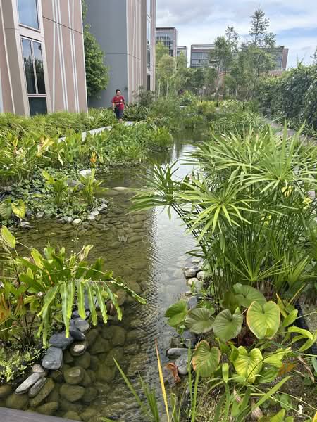 Pasir Ris 8, 8 Pasir Ris Drive 8, 2 Bedrooms, 775 sqft, Apartment For Sale, by Georgina Wong, 500066048 - Garden - PropertyGuru.com.sg