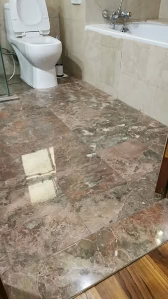 Aspen Heights, 261 River Valley Road, 4 Bedrooms, 1,583 sqft, Condominium For Rent, by C K Teo, 500066050 - Bathroom - PropertyGuru.com.sg