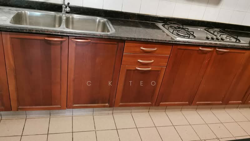 Aspen Heights, 261 River Valley Road, 4 Bedrooms, 1,583 sqft, Condominium For Rent, by C K Teo, 500066050 - Kitchen - PropertyGuru.com.sg