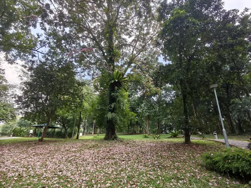 534 Jelapang Road, 534 Jelapang Road, Room Rental, 100 sqft, HDB Flat For Rent, by Boon Ng, 500066228 - Exterior - PropertyGuru.com.sg