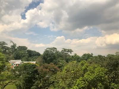 For Rent - Allsworth Park