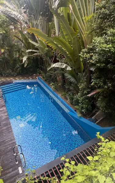 Daisy Suites, 35 Daisy Road Singapore, 2 Bedrooms, 796 sqft, Apartment For Rent, by Andrew Chua, 500066538 - Pool - PropertyGuru.com.sg