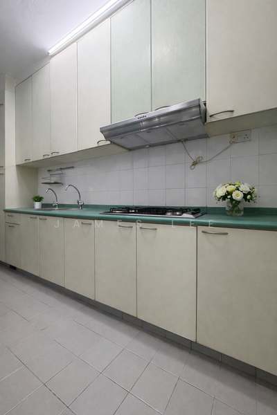 Fernwood Towers, 24 Fernwood Terrace, Room Rental, 100 sqft, Condominium For Rent, by James Lee, 500066620 - Kitchen - PropertyGuru.com.sg