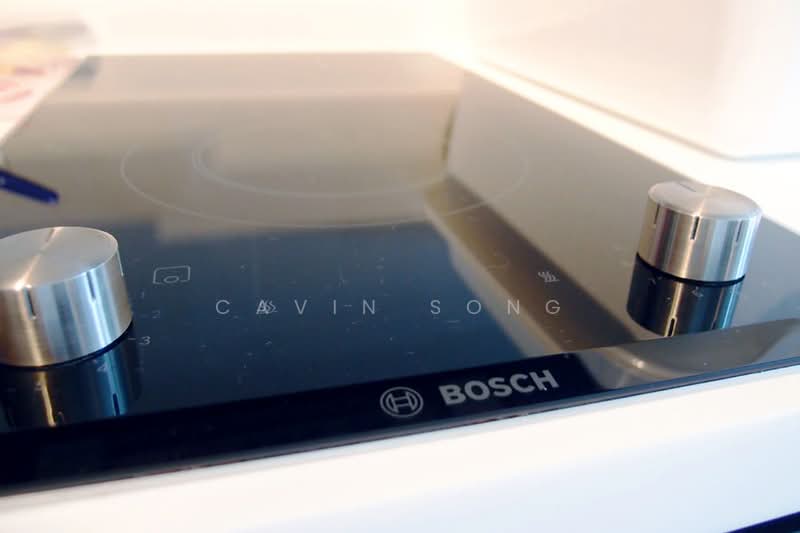 M66, 66 Moonstone Lane, 1 Bedroom, 463 sqft, Condominium For Rent, by Cavin Song, 500066824 - Appliances - PropertyGuru.com.sg