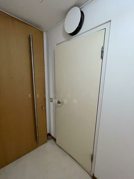 Icon, 10 Gopeng Street, 1 Bedroom, 570 sqft, Apartment For Rent, by Kelvin Tan 陈克辉, 500067119 - Entrance - PropertyGuru.com.sg