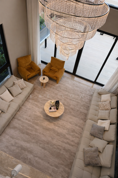 🤩 Brand New Semi-D In The Heart Of Nassim 🤩 Semi-Detached House For Sale at S$ 14,380,000 | PropertyGuru Singapore - Living Room