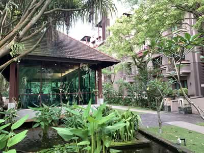 For Rent - The Cornwall