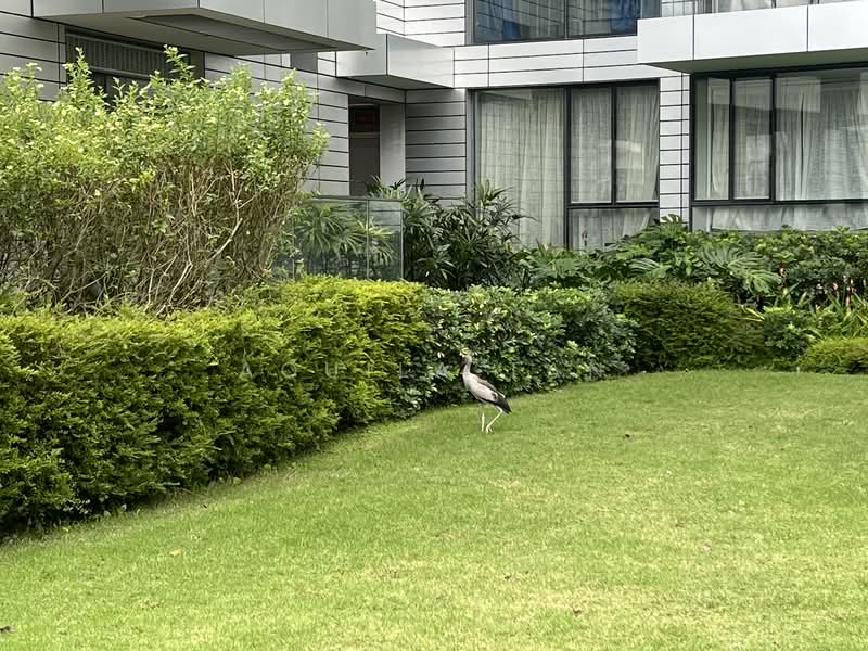 Reflections at Keppel Bay, 27 Keppel Bay View, 3 Bedrooms, 1,206 sqft, Condominium For Rent, by Aquila Tan, 500067554 - Exterior - PropertyGuru.com.sg