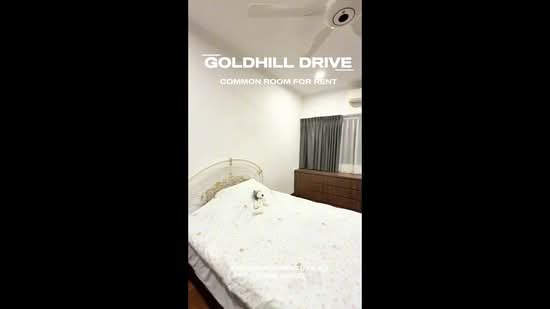 30 Goldhill Drive, , Room Rental, 300 sqft, Corner Terrace For Rent, by Brendan Wong, 500067703 - PropertyGuru.com.sg