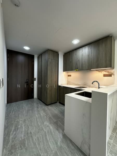 Leedon Green, 38 Leedon Heights, 1 Bedroom, 538 sqft, Condominium For Rent, by Nicholas Lim, 500067725 - Kitchen - PropertyGuru.com.sg