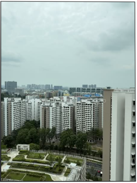 293C Bukit Batok Street 21 HDB Flat For Sale at S$ 839,313 | PropertyGuru Singapore - Exterior
