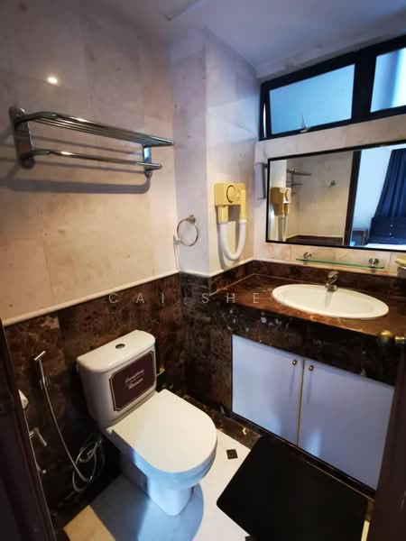 Evelyn Mansions, 20 Evelyn Road, Room Rental, 150 sqft, Apartment For Rent, by CAI SHEN, 500068317 - Bathroom - PropertyGuru.com.sg