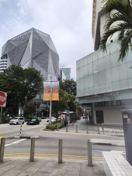 Orchard Plaza, 150 Orchard Road, 1,615 sqft, Other Retail For Rent, by Christina Phau, 500068370 - CommercialGuru.com.sg